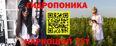 скорость Лесосибирск